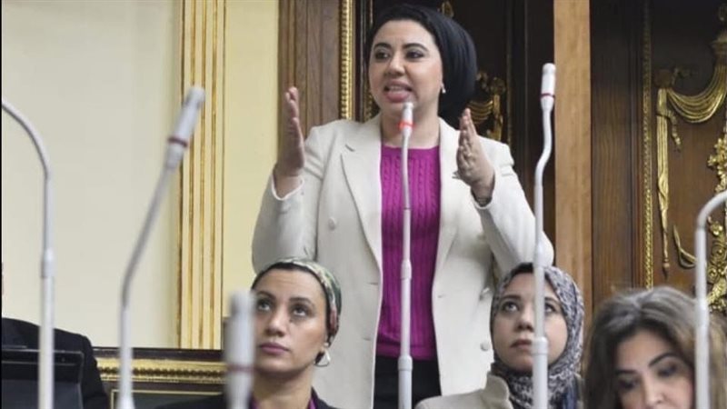 النائبة أميرة صابر