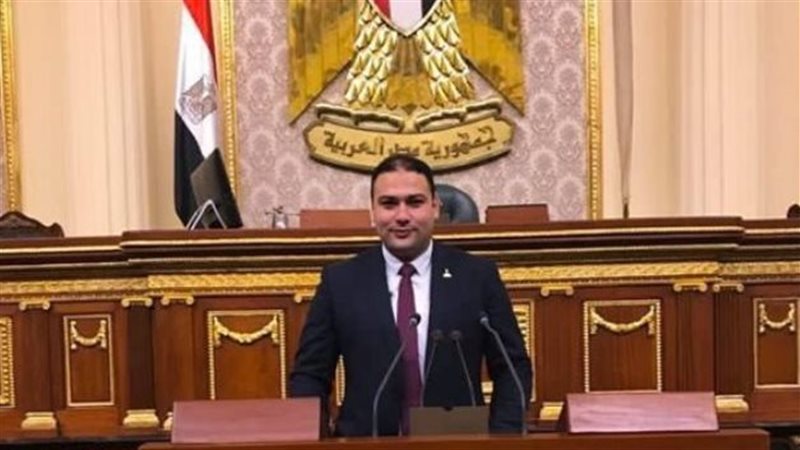 النائب إبراهيم الديب