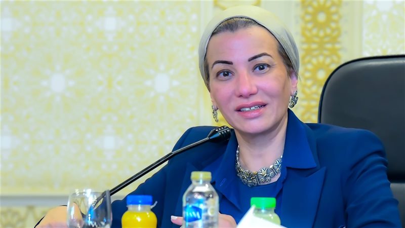 الدكتورة ياسمين فؤاد