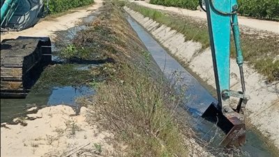 وزارة الزراعة: 156 حالة تعدٍ تم إزالتها خلال يونيو الماضي