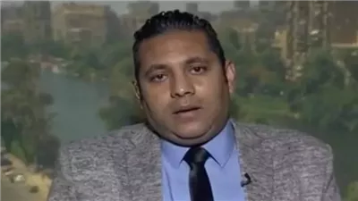 خبير سياسي: ثورة 30 يونيو أنقذت مصر من مخطط إخواني لتفكيك الدولة