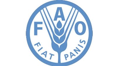 محلل سياسي: رئاسة مصر لـ