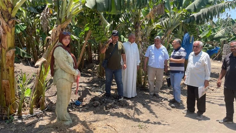 الزراعة