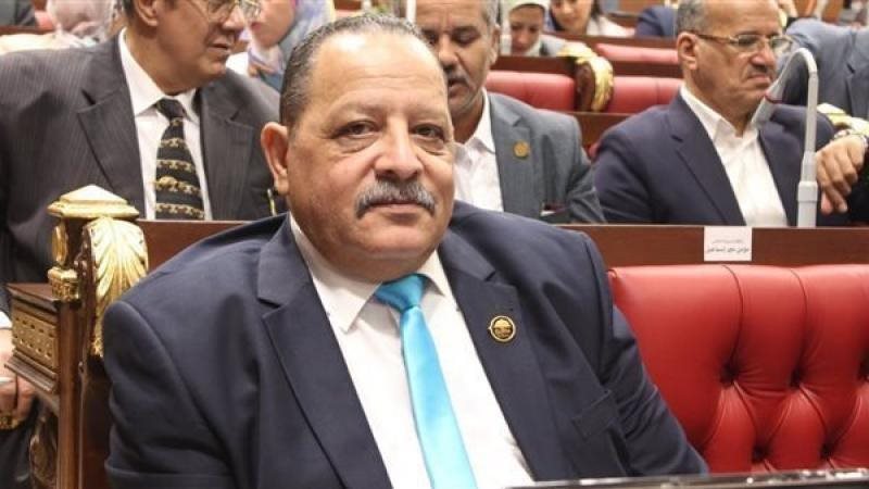 المهندس أحمد شعبان