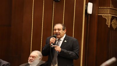 حسام الخولي: 