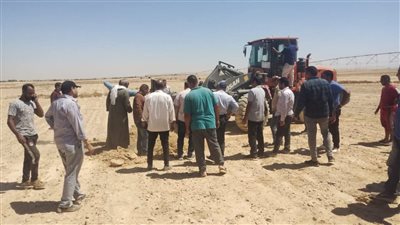 محافظ المنيا: اليد التي تبني هي نفسها التي تحمي وتحاسب المخالفين 