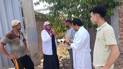 لجنة توعوية بدمياط للتعريف بأهمية التحصين ضد الحمى القلاعية والوادي 