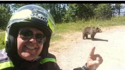 دب بري يقتل سائحاً في رومانيا بعد التقاط صورة سليفي