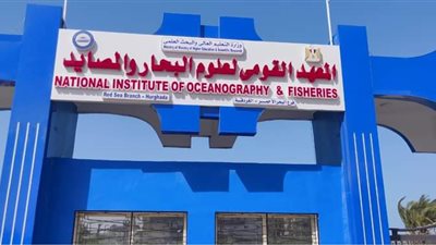 «علوم البحار» يكشف حقيقة تعرض الإسكندرية لتسونامي 