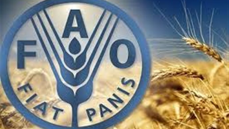  منظمة الأغذية والزراعة