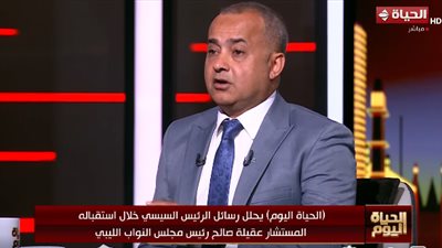 خبير استراتيجي: استقرار ليبيا ضرورة للأمن القومي المصري ومفتاح مواجهة التحديات