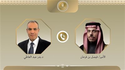 وزير الخارجية يبحث مع نظيره السعودي مستجدات الأوضاع في المنطقة