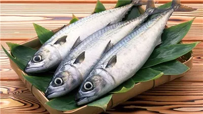 «نيوز رووم» ترصد أسعار الأسماك بسوق دمياط العمومي في جولة ميدانية