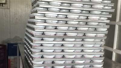 محافظ المنوفية: ضبط أكثر من 2700 كرتونة مواد غذائية مجهولة المصدر