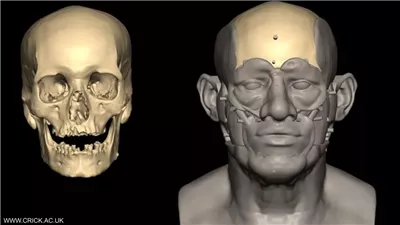حقيقة الأصل العراقي لقدماء المصريين.. دراسة تدعي وخبير يرد