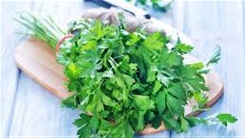 6 فوائد مذهلة للبقدونس