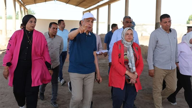 محافظ المنيا