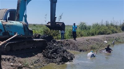 إزالة 3 مزارع سمكية مخالفة على مساحة 97 فدانًا جنوب بورسعيد