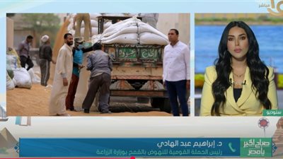 بزيادة 530 ألف طن.. توريد القمح يرتفع 16% في موسم 2025