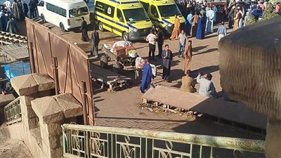 طارت من المعدية.. سقوط سيارة محملة ماشية في نهر النيل بقنا