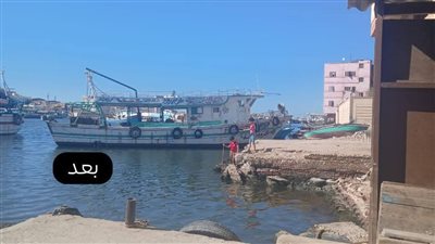 دمياط تواصل جهودها لتطهير جسر النيل بعزبة البرج ضمن خطة الإصحاح البيئي