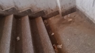 كبارى المشاة في القليوبية وسائل لعبور الطرق أم للموت؟