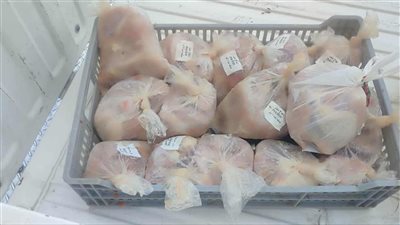 ضبط 40 كيلو دجاج منتهي الصلاحية داخل مطعم شهير بزهور بورسعيد