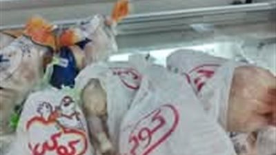 بالاشتراك مع الطب البيطري.. تموين القاهرة: ضبط طن لحوم ودواجن غير صالحة للآدمي