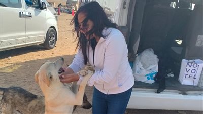 استجابة لنيوز رووم.. تحرك عاجل من «أوراسكوم» لإنقاذ كلب الهرم 