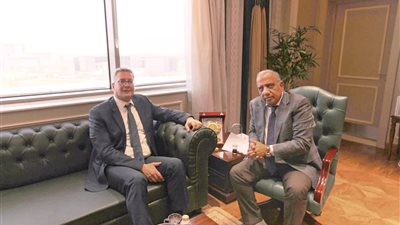 وزيرا الكهرباء والبترول يؤكدان توفير الوقود لتأمين التغذية الكهربائية 