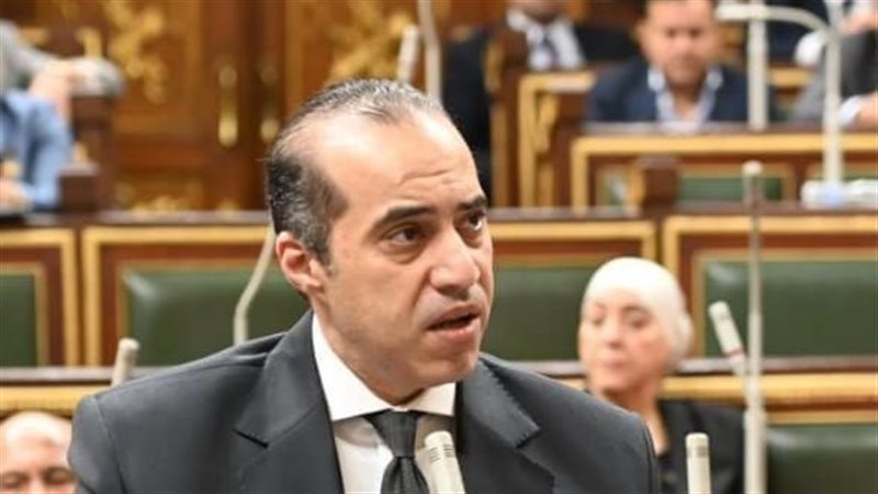 المستشار محمد فوزى