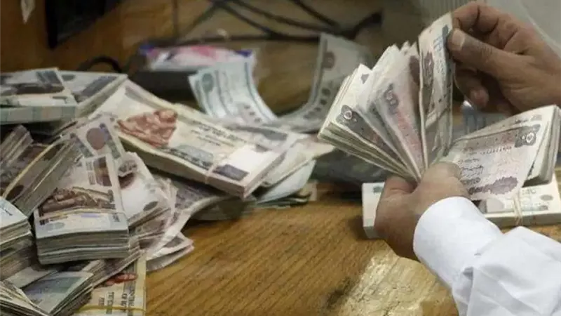 الفرق بين الشهادات