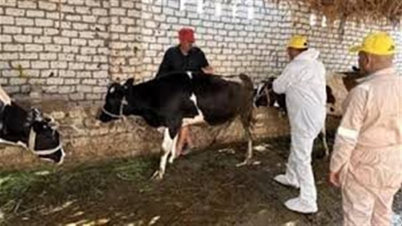 التلقيح الاصطناعي