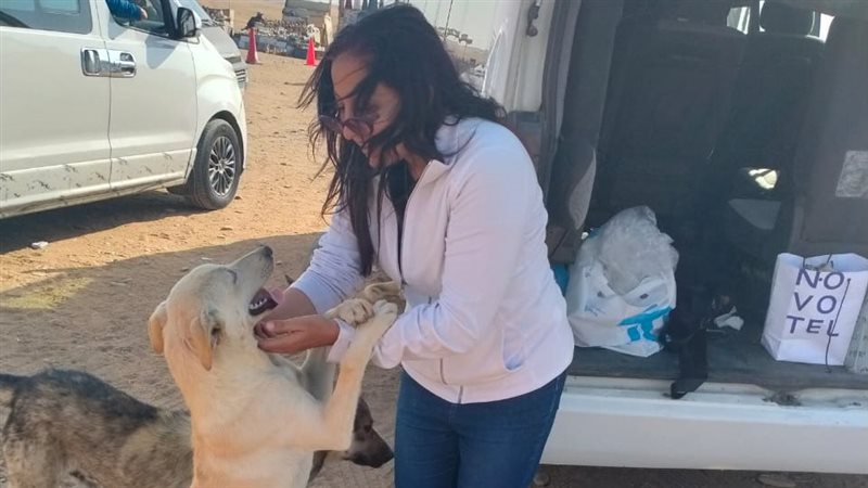 صورة للمتطوعات مع