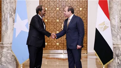 تعزيز العلاقات المصرية الصومالية.. تأكيد على الشراكة التاريخية والتعاون 