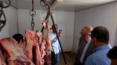 محافظة المنيا تفتتح أكثر من 3200 منفذ تمويني لتوفير السلع بأسعار مخفضة