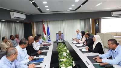 محافظ أسوان يشكل لجنة عاجلة لمواجهة ظاهرة الكلاب الضالة