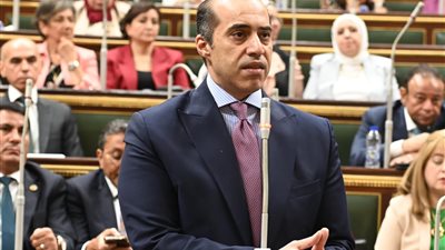 وزير الشئون النيابية يحضر جلسة مجلس النواب خلال مناقشة قانون المهن الطبية