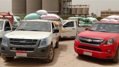 محافظة البحيرة تتجاوز 316 ألف طن قمح في موسم التوريد