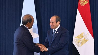 رامي زهدي: التعاون مع الصومال يعزز حضور مصر بإفريقيا ويخدم الأمن القومي