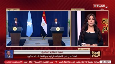 خبير استراتيجي: زيارة الرئيس السيسي إلى الصومال تؤكد أهمية التعاون الإقليمي