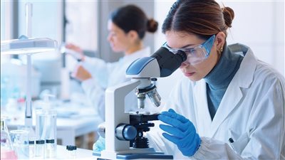 دراسة جديدة تكشف: «الإستروجين» يحمي قلب المرأة عبر بروتين «ANXA1»