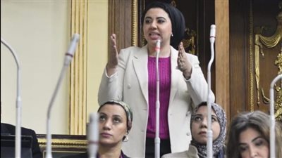 مجلس النواب يقبل استقالة النائبة أميرة صابر لإتاحة ترشحها للشيوخ