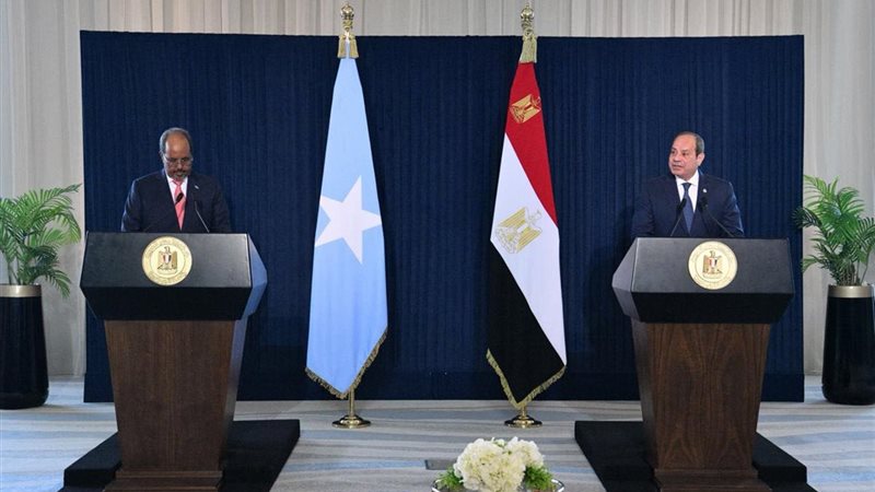 السيسي ونظيره الصومالي