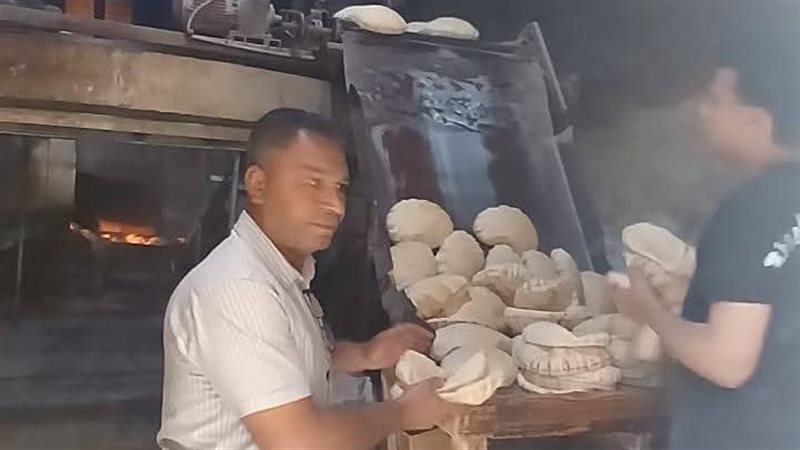 جانب من الحملة