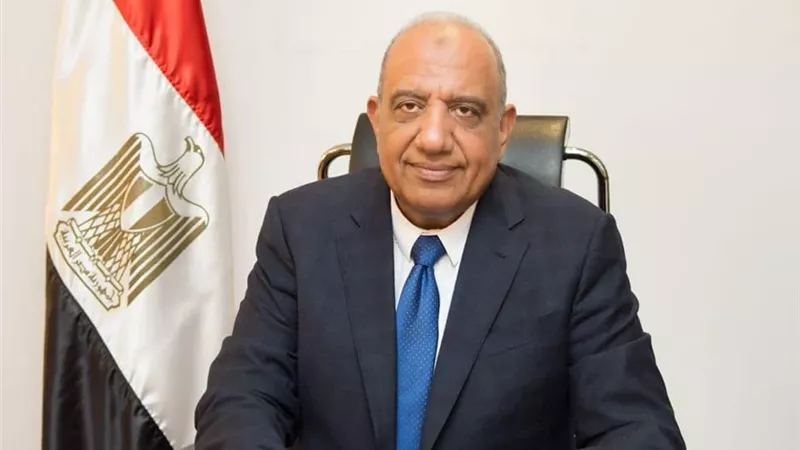 وزير الكهرباء