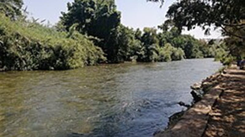 نهر الأولي في لبنان
