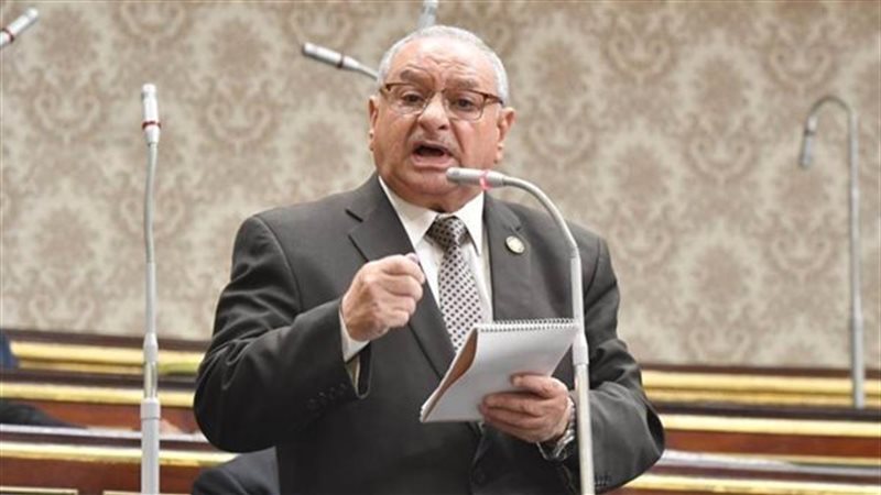 محمد عبد الحكيم أبو