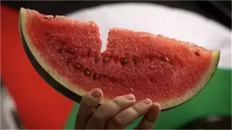 البطيخ