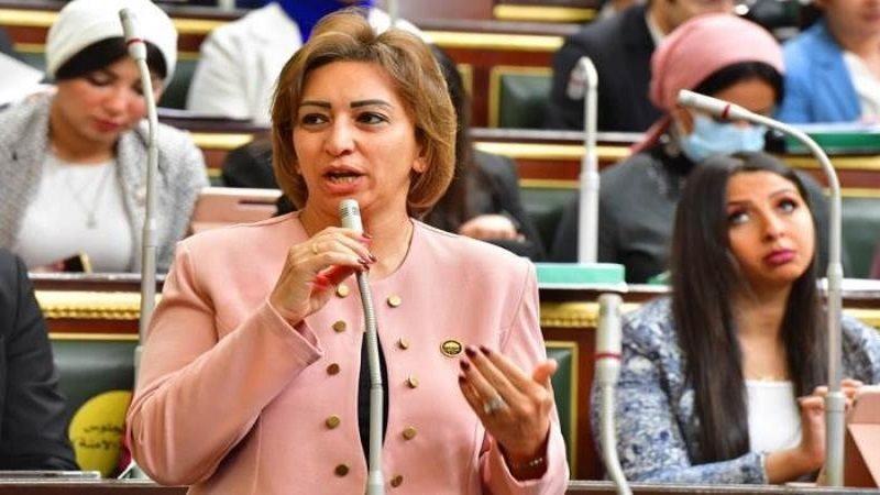 النائبة منى عبد الناصر